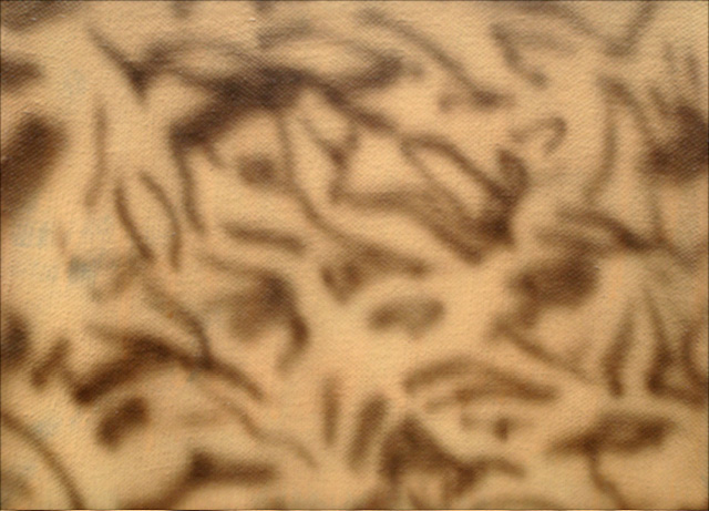 jungle 3324/6, 2008, Kunstharz, Leinwand, 24 x 33 cm